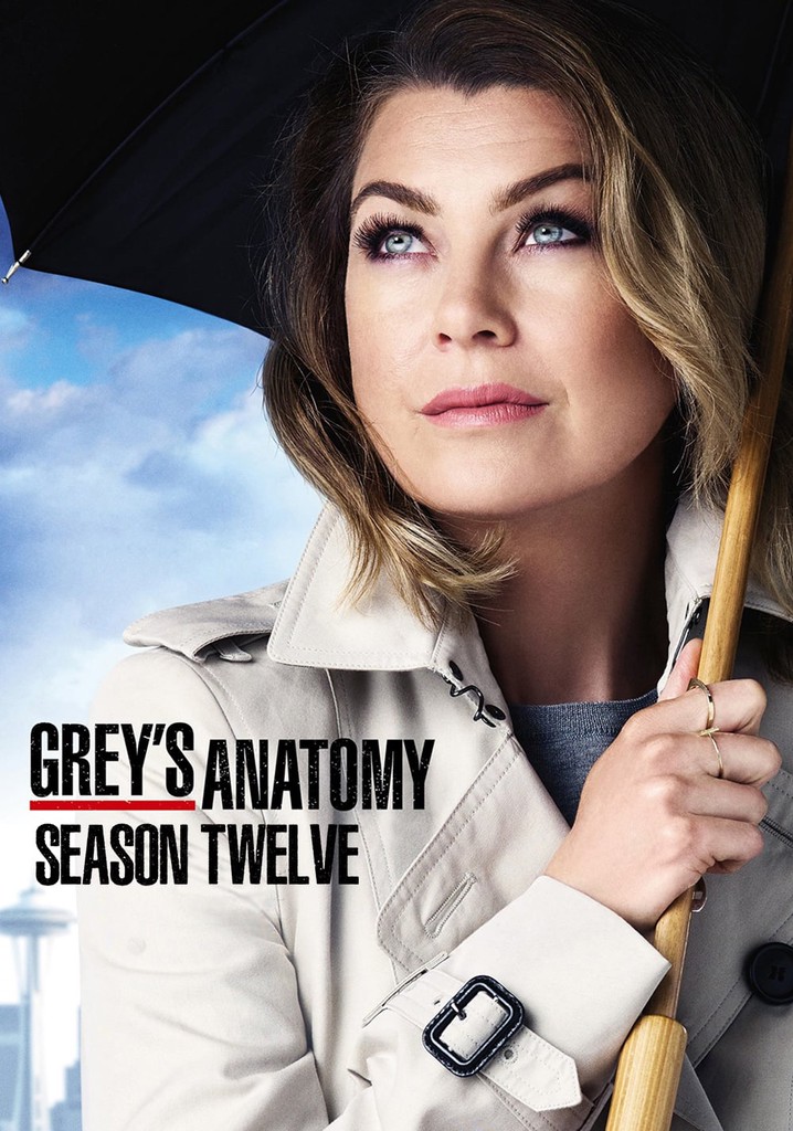 Grey's Anatomy Stagione 12 streaming online